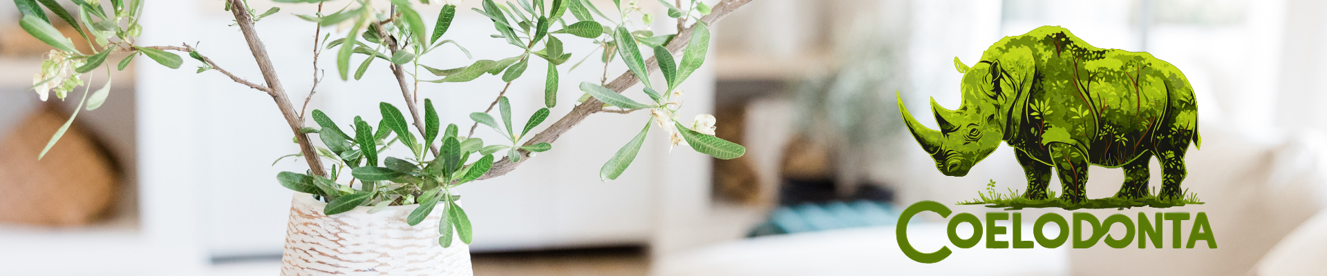 Coelodonta