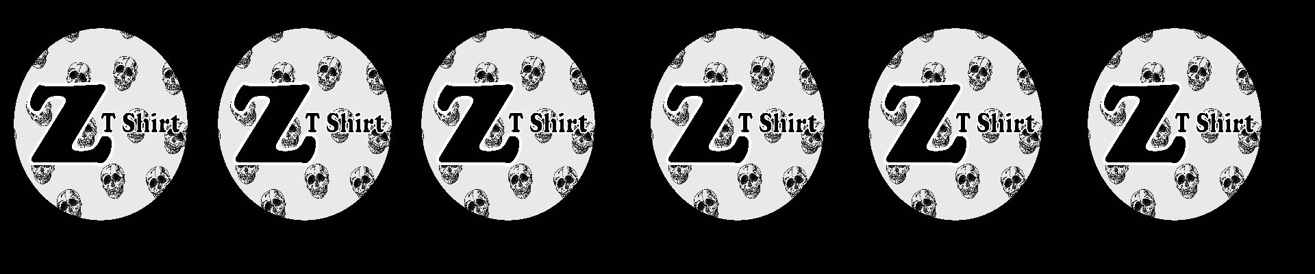 Zara T Shirt