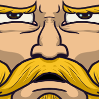 Torcedor Anônimo do Vikings