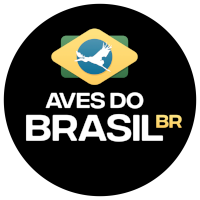 avesdobrasil_br