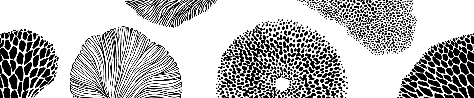 @ateliermoniquebruxel