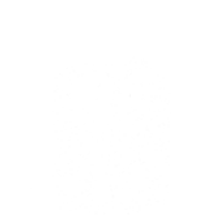 Ilustra Neri 