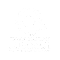Escola Waldorf Girassol
