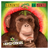 Hominídeos 