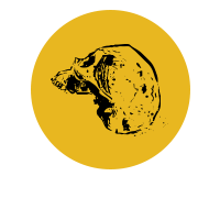 Cavernna