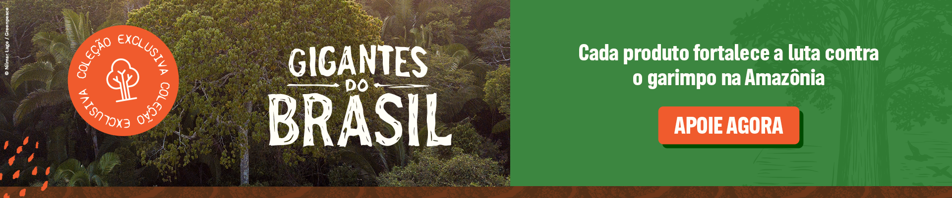 Greenpeace Brasil