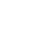 The Curitibaner