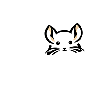 Meu Chinchila