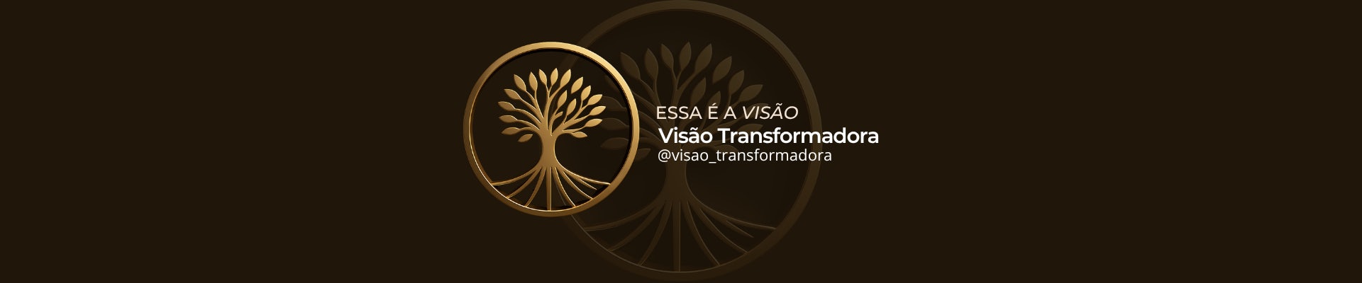Visão Transformadora