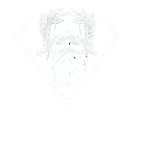 Força Tarefa Bellum
