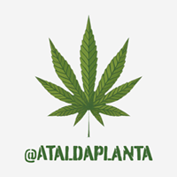 A Tal da Planta