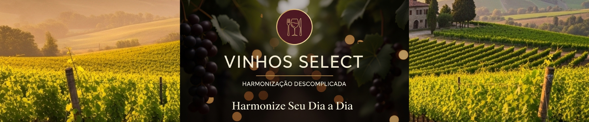 Vinhos Select