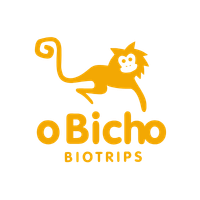 Loja O Bicho Biotrips