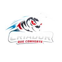 Criador que Converte