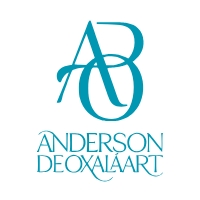 Anderson De Oxalá Art