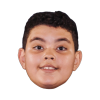 THE DAVID