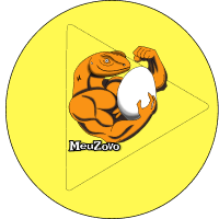 MeuZovo