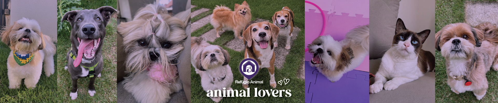 Refúgio Animal
