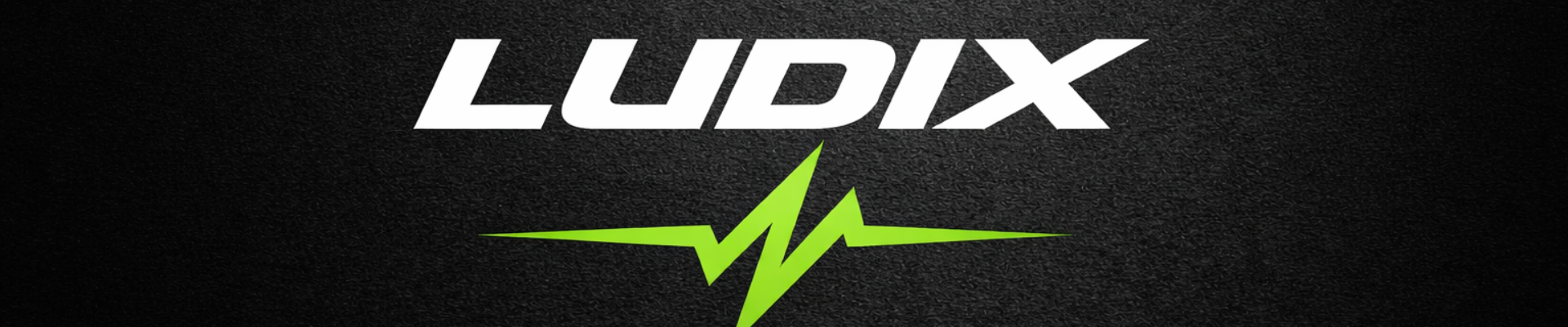 L U D I X