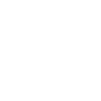 Disola Store