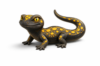 SALAMANDRA CO.