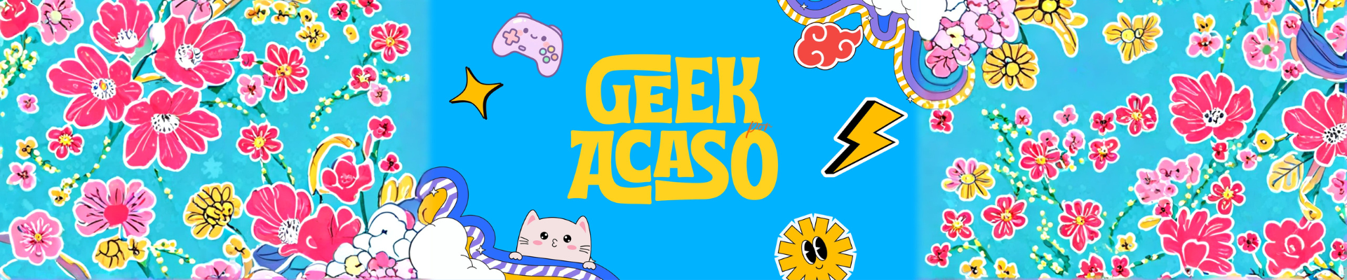 Geek por acaso