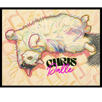 ChrisDalleStudio