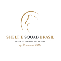 Sheltie Squad Brasil