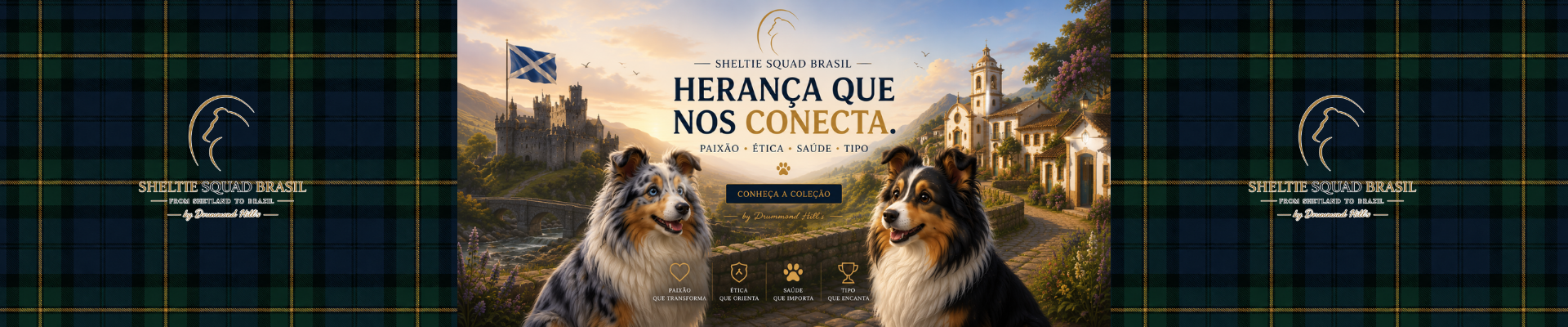 Sheltie Squad Brasil