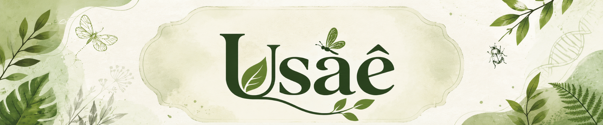 Usaê