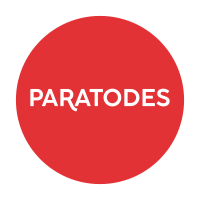 PARATODES