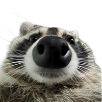 Guaxi Co.
