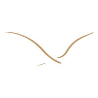 claricerane.co