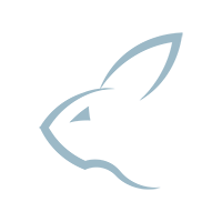 Coelho Lunar Store