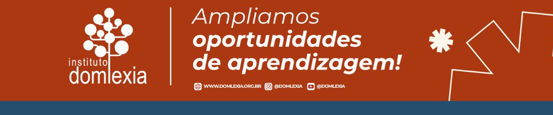 Lojinha do Instituto Domlexia