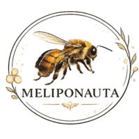 Meliponauta