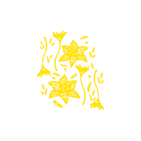 Lírio do Vento