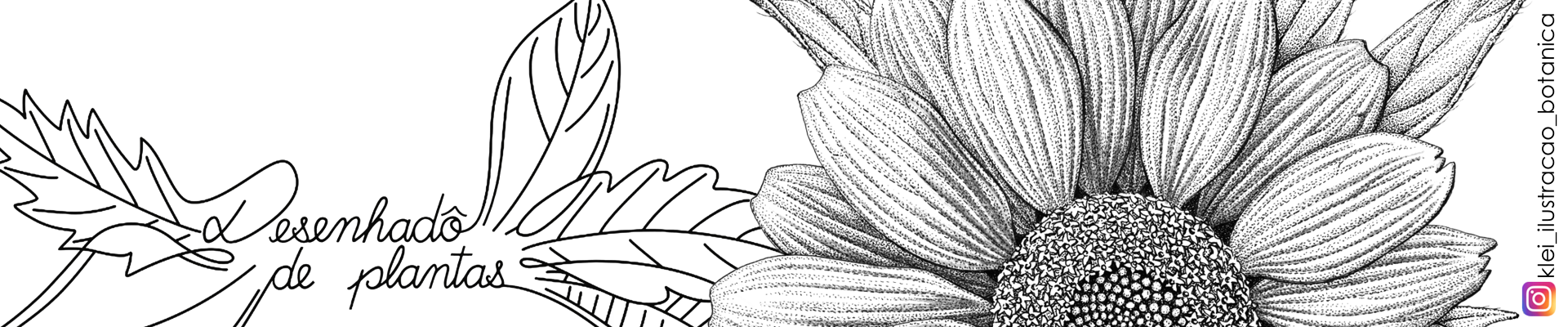 Desenhadô de plantas