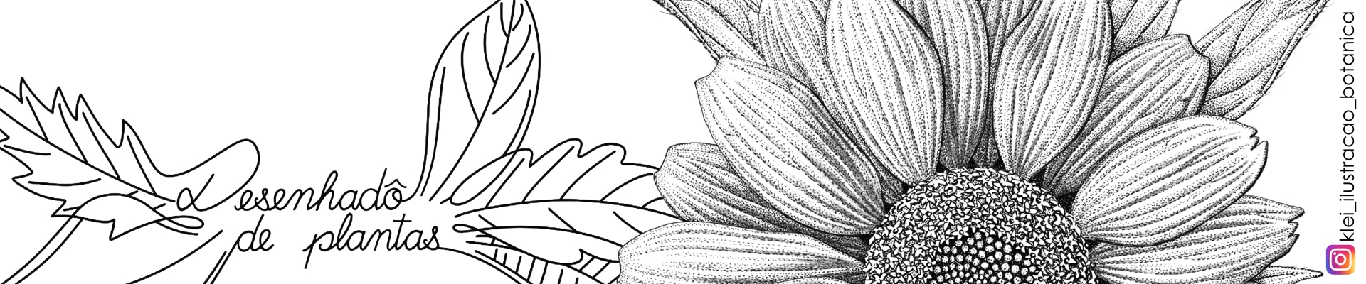 Desenhadô de plantas