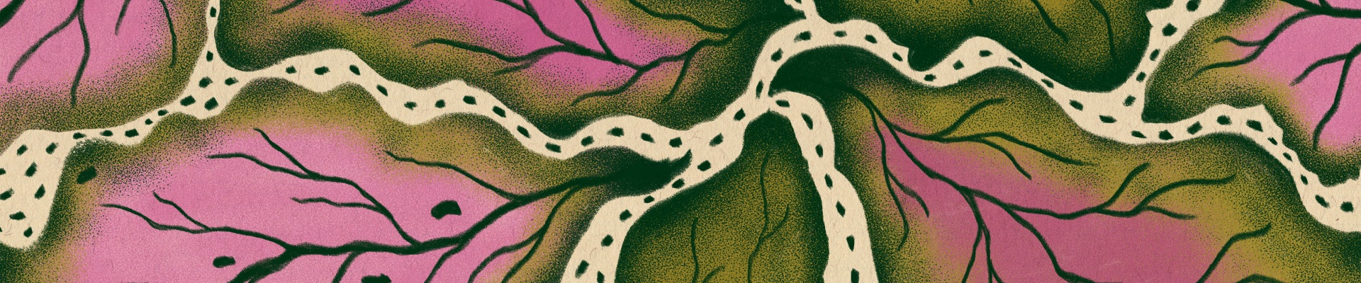 criaturaalana